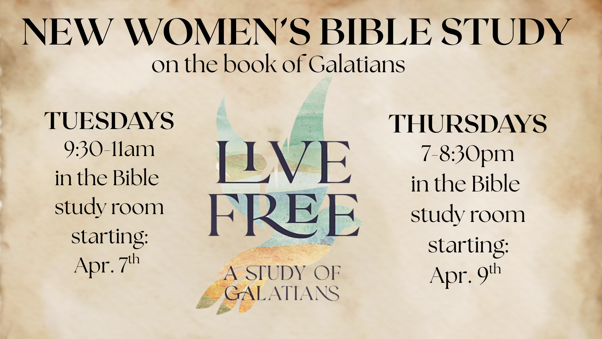 Women's Galatians Bible Study