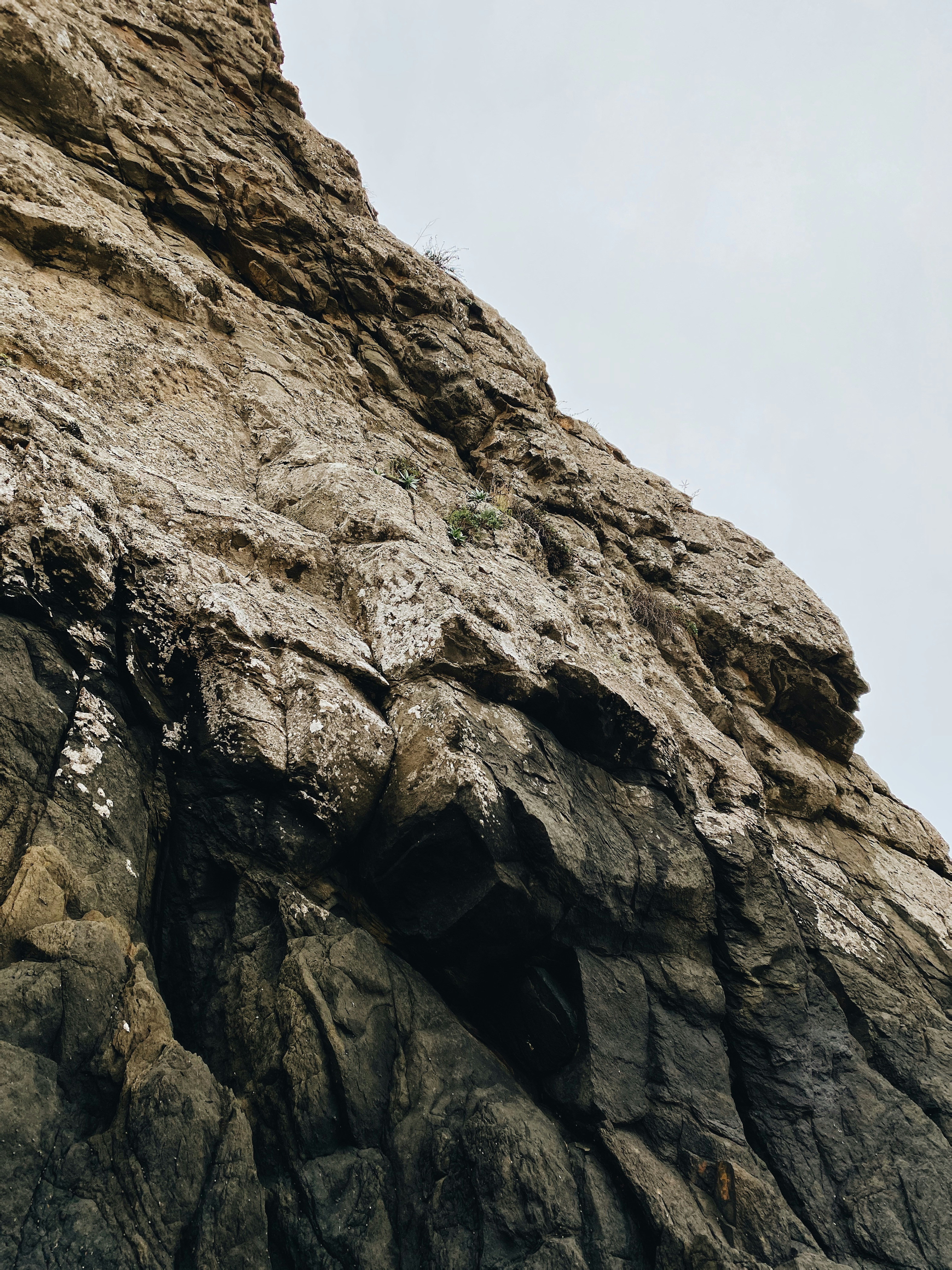 Foundation of Christian Growth marketing image